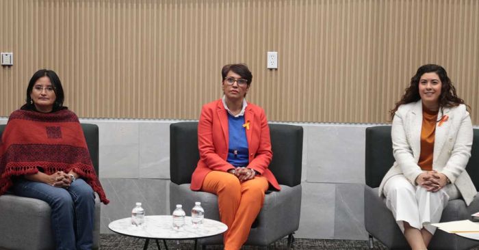 Promueven 16 D&iacute;as de Activismo para la eliminaci&oacute;n de la violencia contra las mujeres