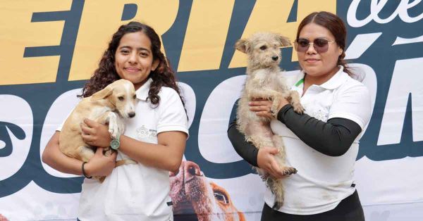 Impulsa Ariadna Ayala adopciones responsables en beneficio a 202 lomitos