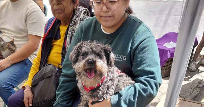 Realizan jornada de Bienestar Animal en 5 colonias de Puebla