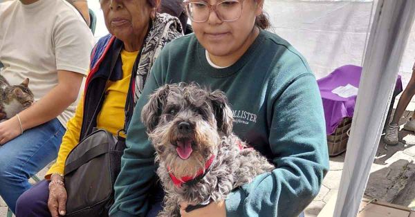 Realizan jornada de Bienestar Animal en 5 colonias de Puebla