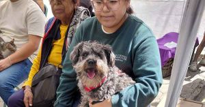 Realizan jornada de Bienestar Animal en 5 colonias de Puebla