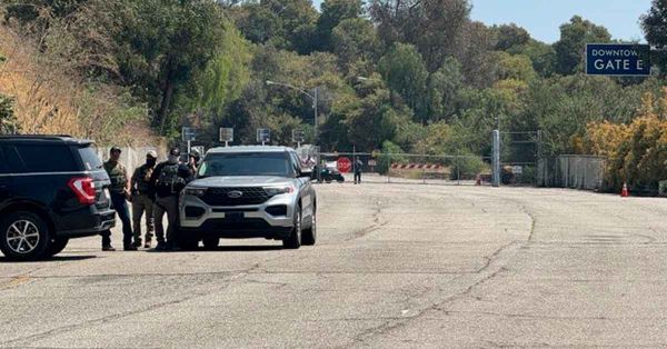 Indagar&aacute; Sheinbaum operativos de "caza migrantes"