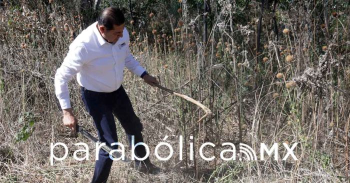 Las Faenas Comunitarias: el corazón y el tejido social de Puebla