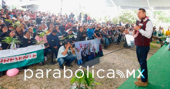 Avanza la reforestaci&oacute;n de Zoquitl&aacute;n con &aacute;rboles frutales: Armenta