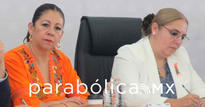 Se busca enriquecer la Ley de Revocación de Mandato: Artemisa