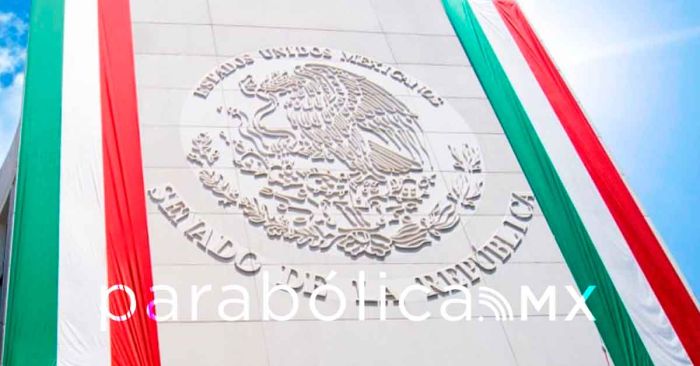 Ofrece Laura Itzel Castillo respeto a la pluralidad y trabajo institucional en el Senado