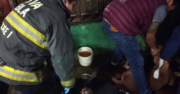 Ri&ntilde;a de pandillas deja personas y perros heridos en San Ram&oacute;n