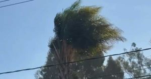 Emiten recomendaciones ante r&aacute;fagas de viento en la capital