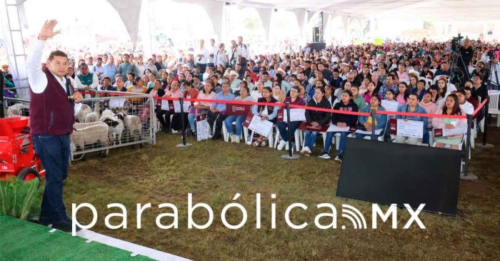 Impulsa Armenta acciones ambientales de reforrestación para regeneran el territorio
