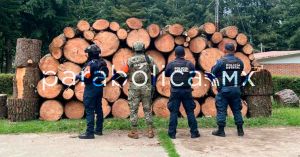 Asegura SSP m&aacute;s de 130 piezas de madera en Eloxochitl&aacute;n