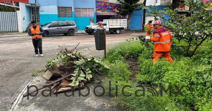 Refuerza Gobierno de la Ciudad programa “Limpiando bien y a la primera