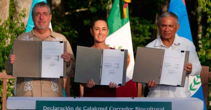 Van México, Guatemala y Belice por Corredor Biocultural de la Gran Selva Maya: Sheinbaum