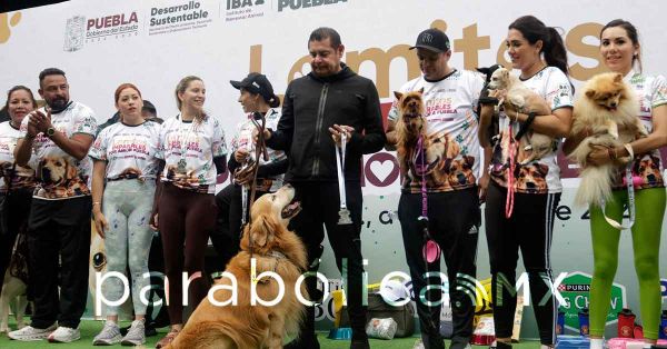 Insiste Armenta que en Puebla se castiga el maltrato animal