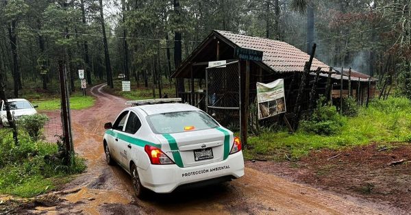 Supervisa Propaet centros de avistamiento de luci&eacute;rnagas