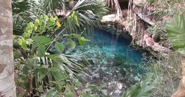 Descubren restos &oacute;seos de un perezoso y caballos  en cenote de Yucat&aacute;n