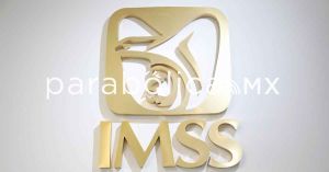 Tres historias de horror en el IMSS