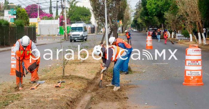 Impulsa Armenta el trabajo conjunto con municipios