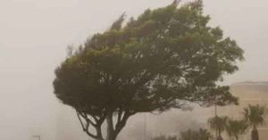 Prevén rachas de viento de hasta 70 kilómetros en Baja California, Sonora, Chihuahua y Coahuila