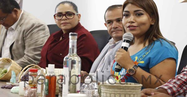 Impulsan en el Congreso crecimiento de pueblos originarios