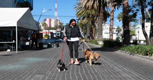 Reactivarán la Vía Recreativa de Puebla con nuevas actividades deportivas