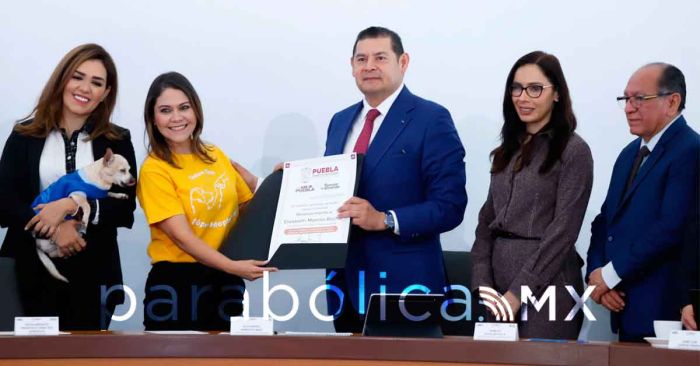 Van Gobierno y Fiscal&iacute;a contra agresiones de seres sintientes: Armenta