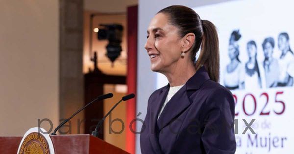 Presenta Sheinbaum denuncia por acoso; presentar&aacute; reforma