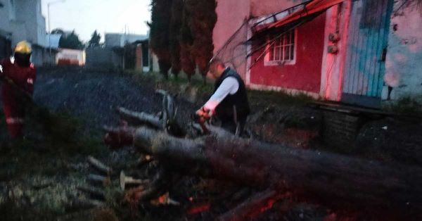 Atiende Gobierno de la Ciudad incidentes por lluvias; descartan lesionados