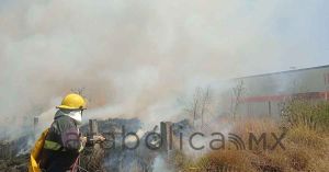 Atendemos de forma inmediata incendios forestales: Armenta
