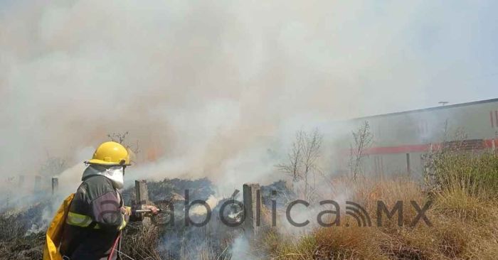Atendemos de forma inmediata incendios forestales: Armenta