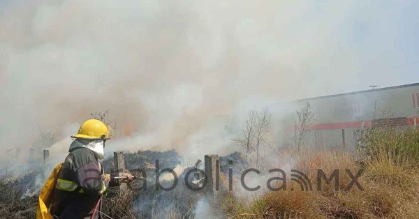 Atendemos de forma inmediata incendios forestales: Armenta