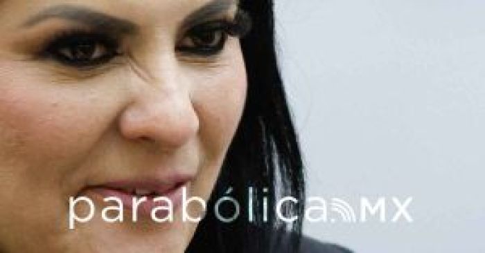 Usan a MC como “esquirol” contra el PRI: Delfina Pozos