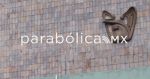 Atienden dos partos en el Hospital Rural de la Ceiba en Xicotepec: Zo&eacute; Robledo