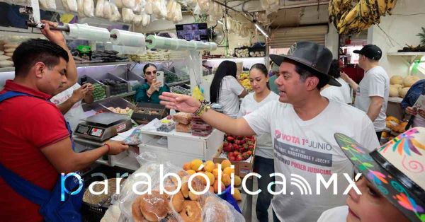 Promueven diputados federales el voto en la Elecci&oacute;n Judicial