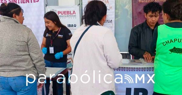 Impulsa IBA protección y bienestar animal en Puebla