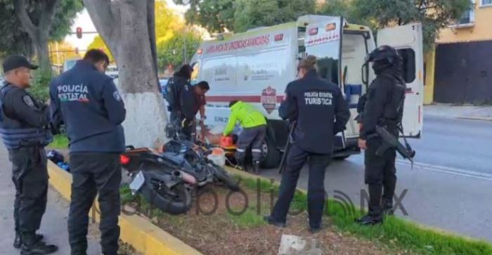 Choca motociclista contra árbol en zona de San Francisco