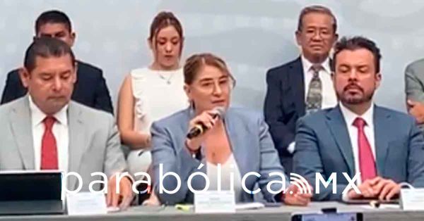 Ningún servidor público ha denunciado ciberasedio: Idamis Pastor