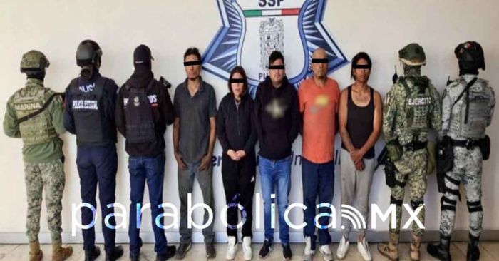 Aseguran fuerzas federales más de 5mdp en drogas