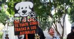Marchan animalistas por las calles de Puebla