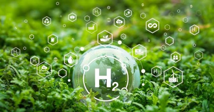 Hidrógeno Verde en México: ¿Esperanza Verde o Espejismo Extractivista?