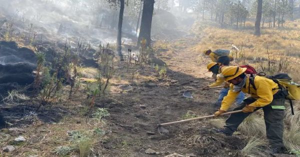 Hay 128 incendios forestales activos en México