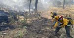 Hay 128 incendios forestales activos en México