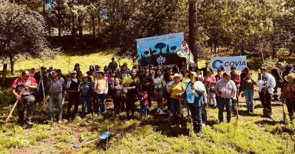Participan familias de Zacatlán en reforestación 2025