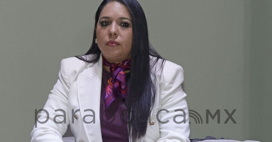 Respalda Tonantzin Fern&aacute;ndez el Plan B de Claudia Sheinbaum