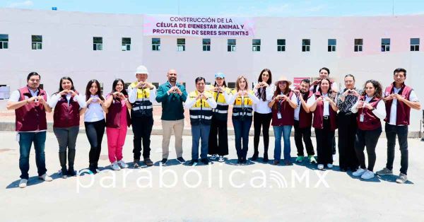 Reporta 77 de avance la C&eacute;lula de Bienestar Animal y Protecci&oacute;n de los Seres Sintientes: DIF