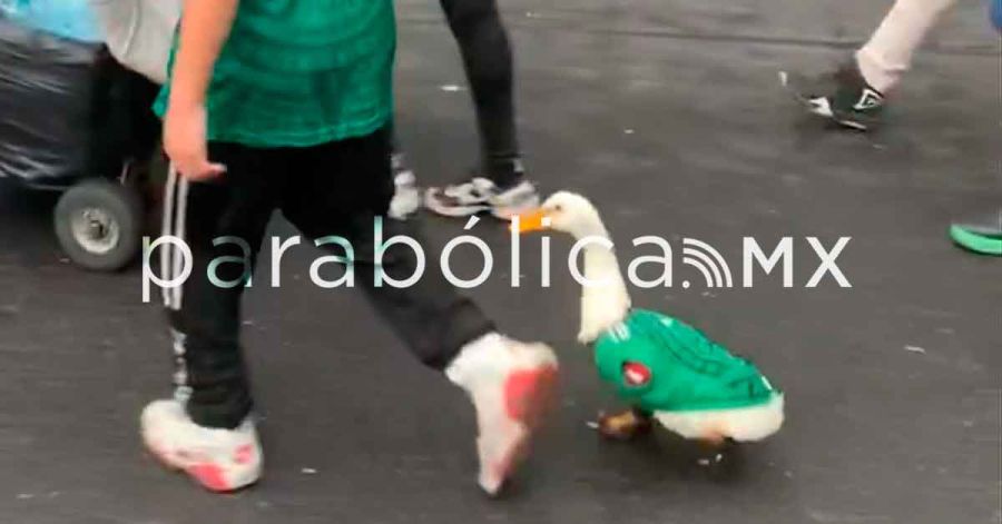 Invita el Mundial a vivir M&eacute;xico, dice Sheinbaum y anuncia que invitar&aacute; al Pato Merl&iacute;n a Palacio
