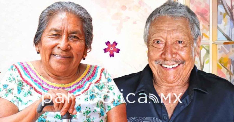 Sigue la entrega de Tarjetas de las Pensiones de Bienestar: Leticia Ram&iacute;rez