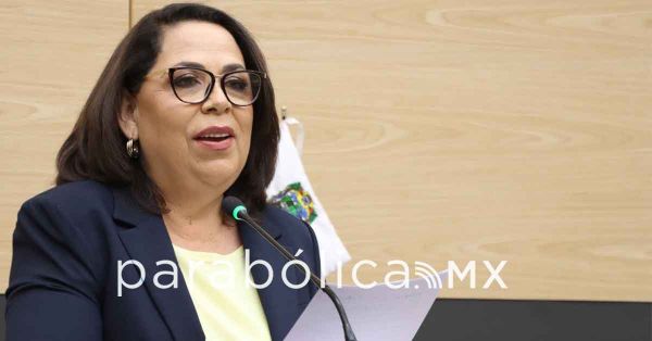 Busca Congreso garantizar transporte accesible a personas con discapacidad