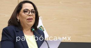 Busca Congreso garantizar transporte accesible a personas con discapacidad