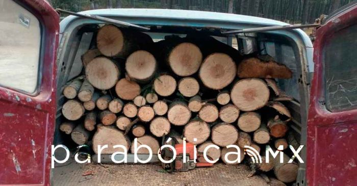 Aseguran m&aacute;s de 70 troncos de madera en Operativo Interestatal Puebla&ndash;Tlaxcala