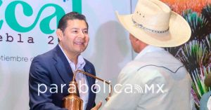 Mezcal poblano es orgullo, identidad y riqueza para sus comunidades: Armenta